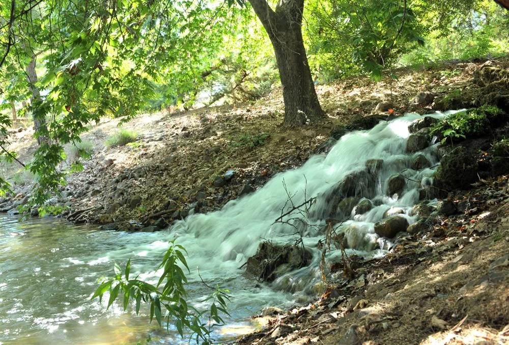 351011-kapicammesirealani4jpg