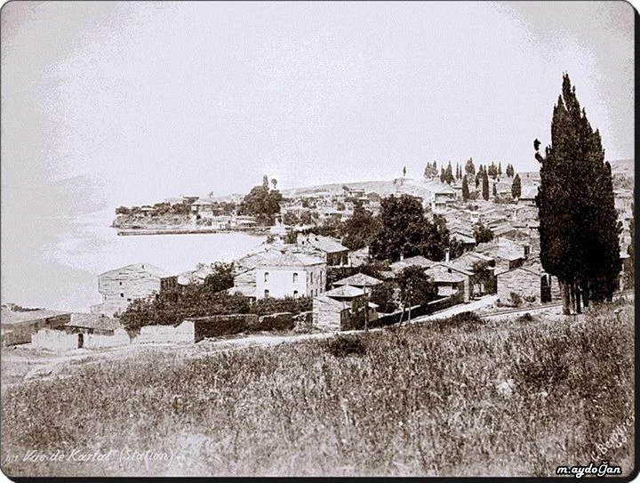 39de7308ef7385dcece47dbbbce9f765