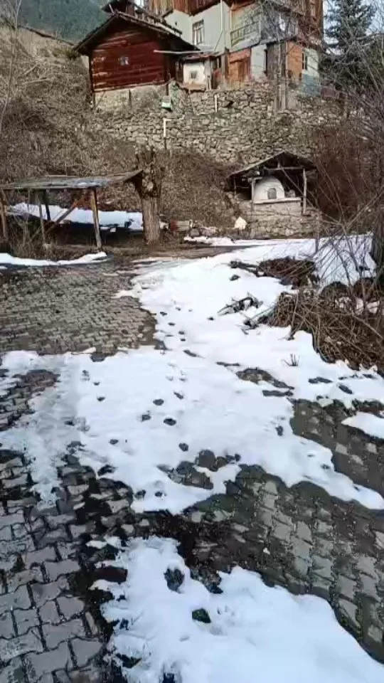 414201156_1067354214417782_6704219372626274466_n