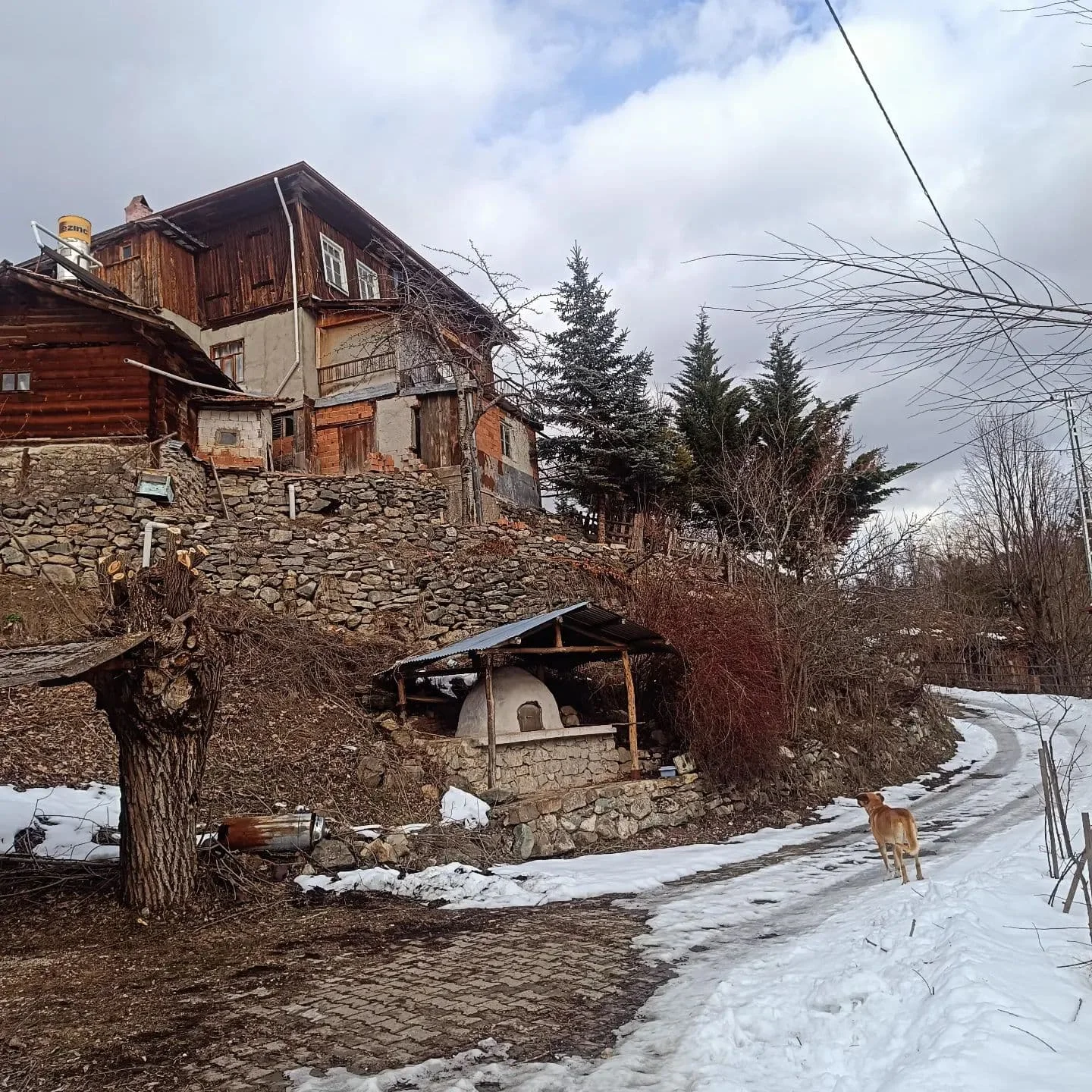 414463589_1492637731672945_204226479511287283_n