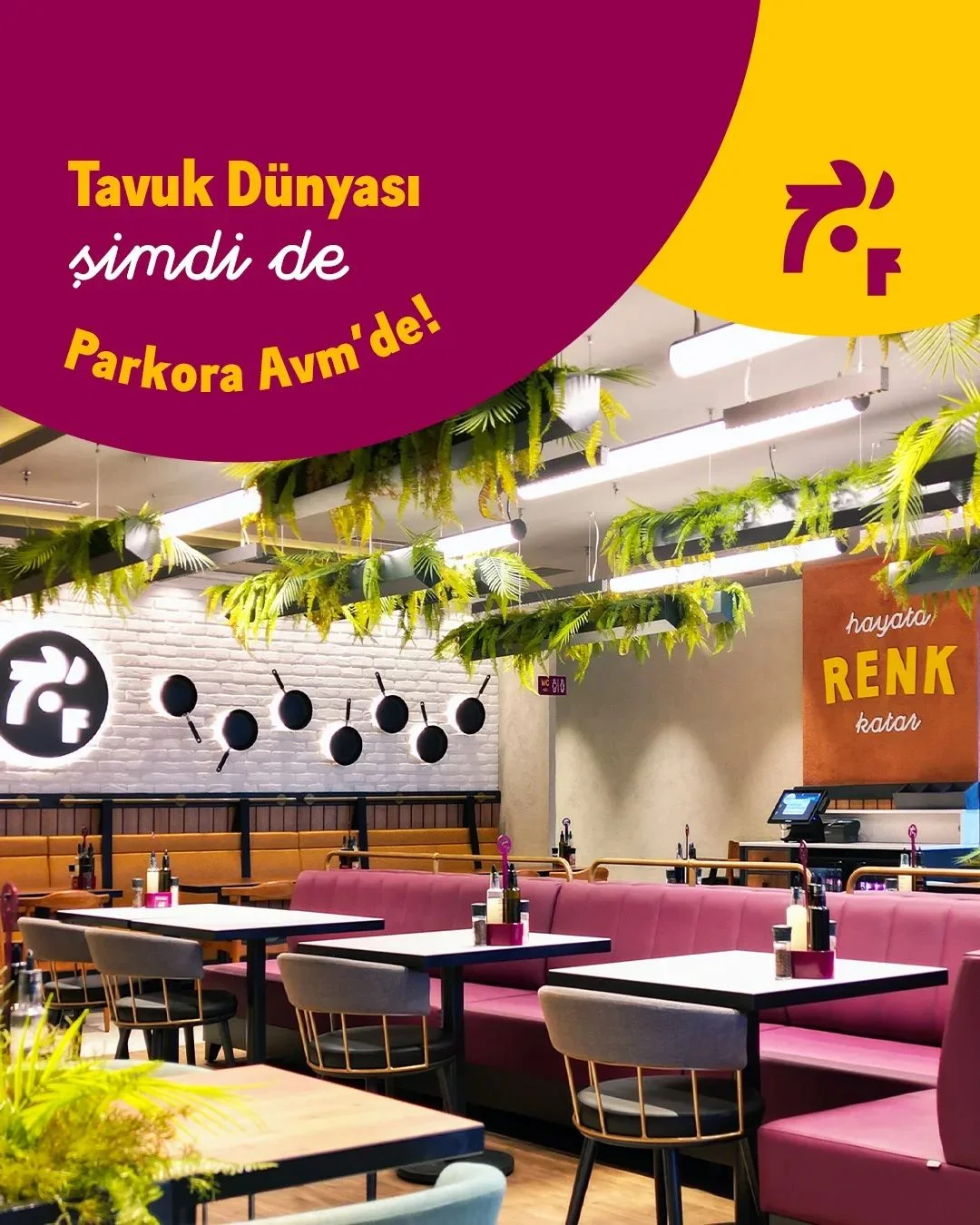 423859397_394227802979069_5030111594272736477_n