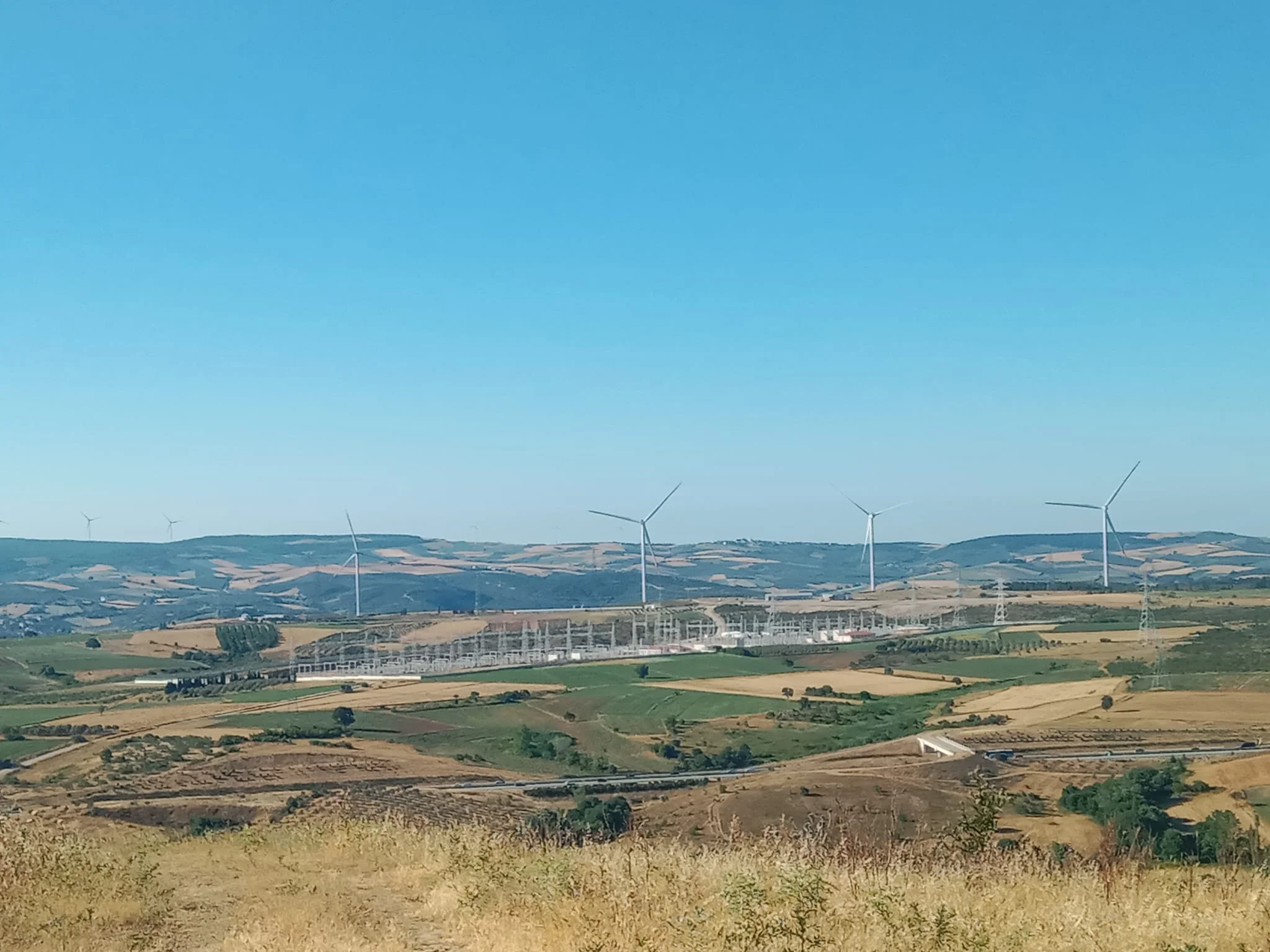 448471149_1274174753564689_2526619427003439368_n