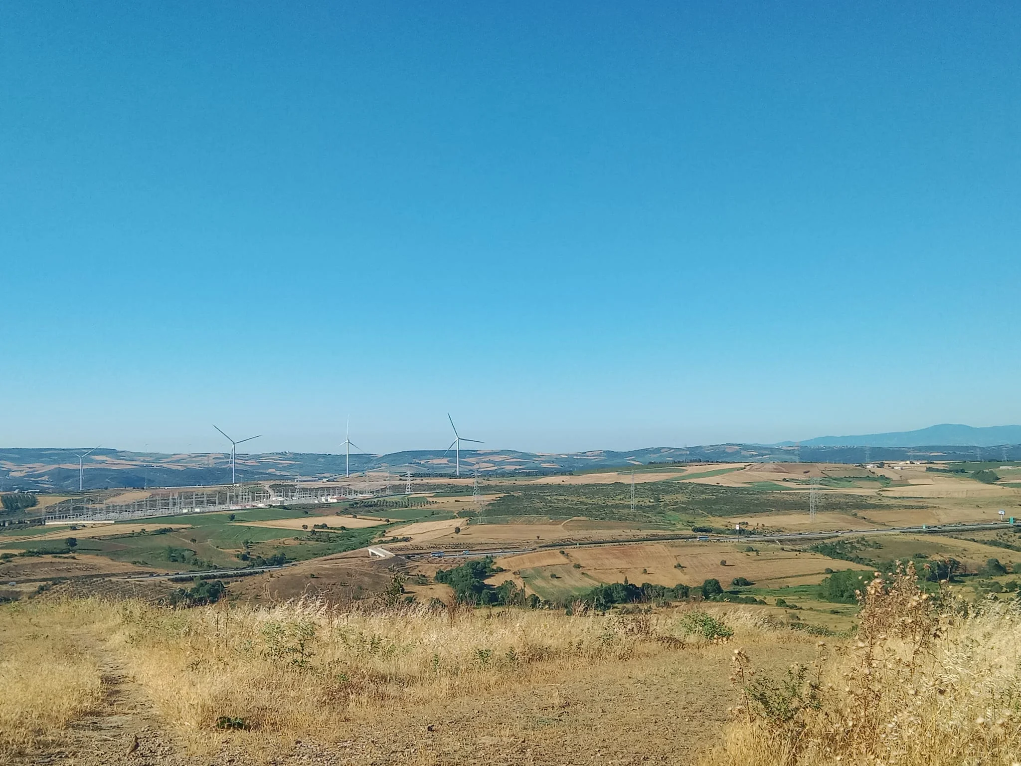 448508559_1274174800231351_4617523408334447266_n