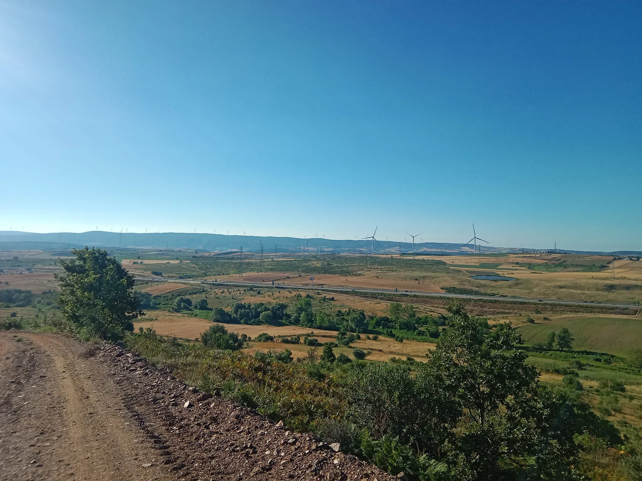 448705593_1274174670231364_9168738825025250821_n