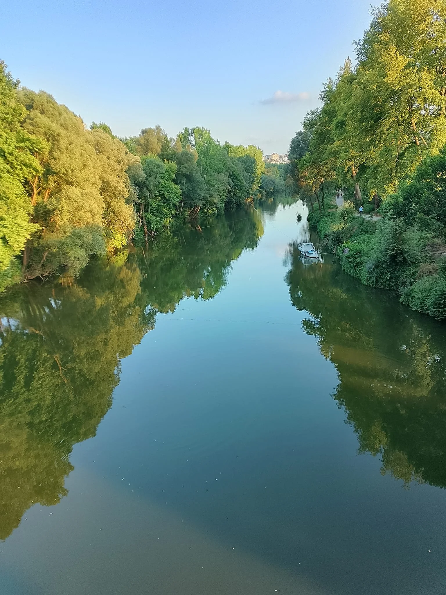 452652228_1215412716255471_1978848082451936324_n