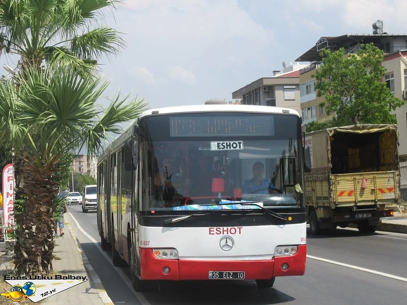 46700498772_ed2b36e4b9_c