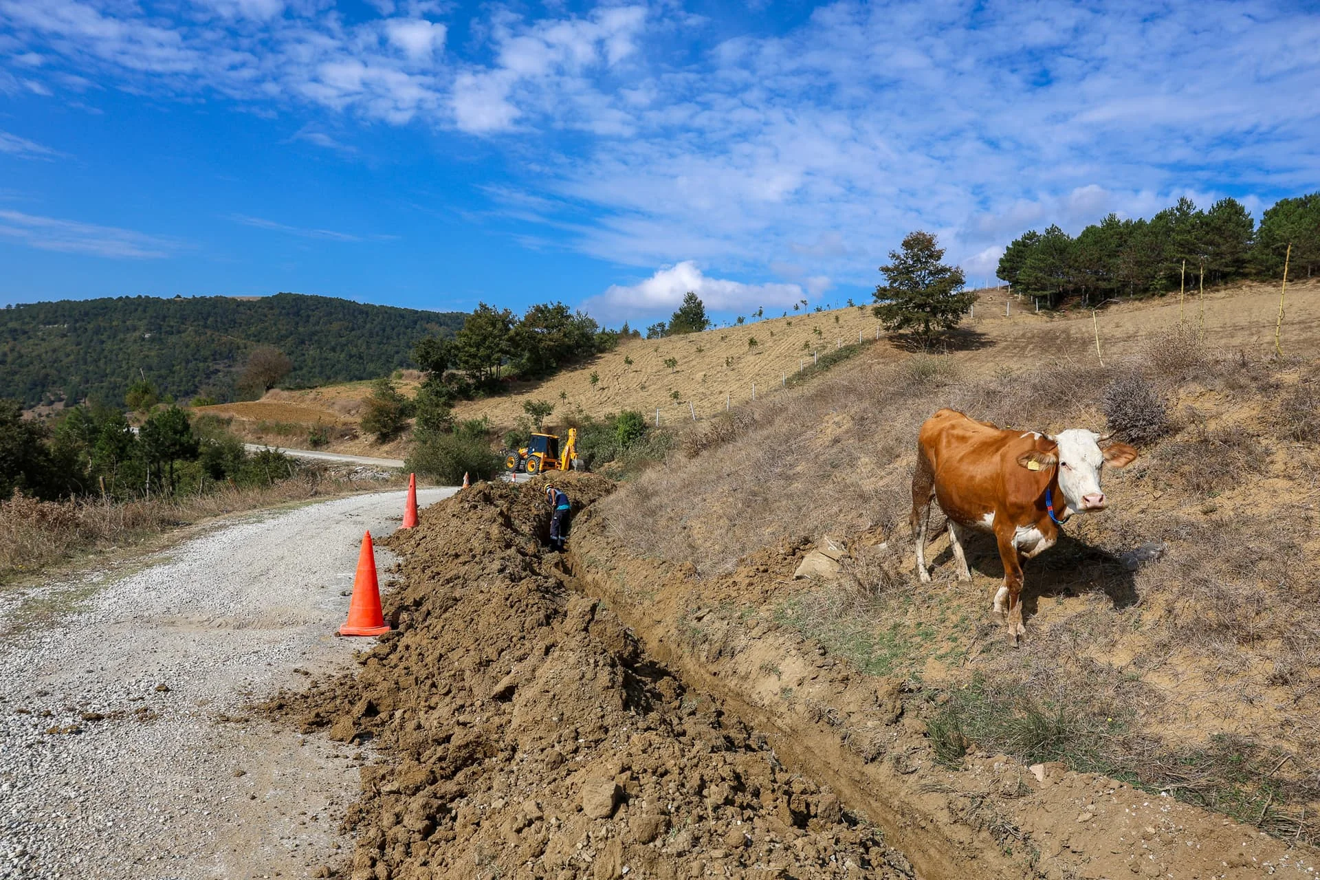 503474c3-9c72-40c8-a35e-3cdc14fddd78