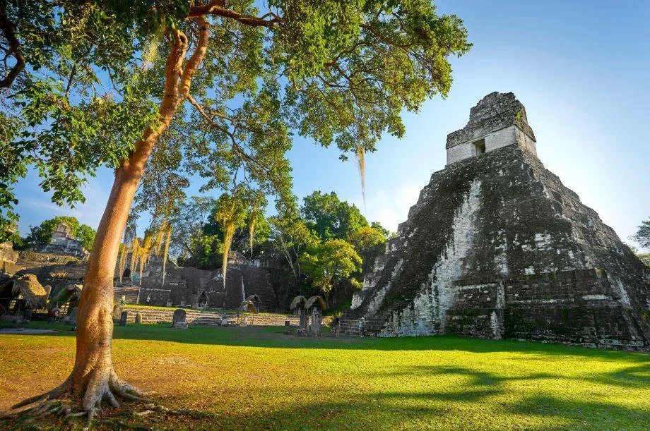 57b18de0c03c0e071c185780