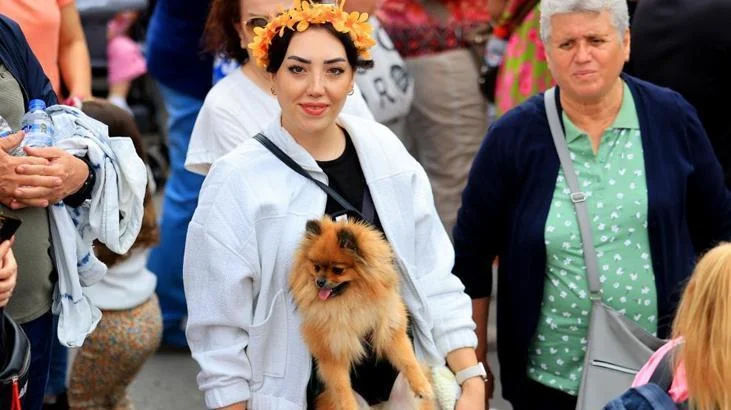 6623edf263198a575d9bb941