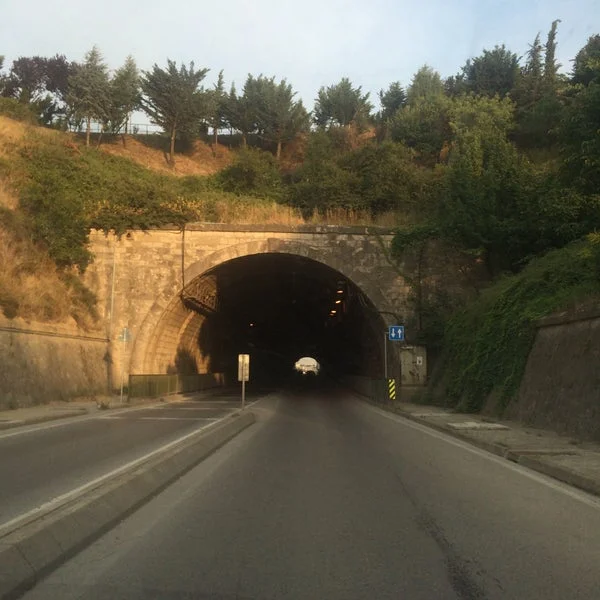 72983743_o_knPagd3ZKN2wNUM95m4tBbeD3IgRHTLlL19atFz2U