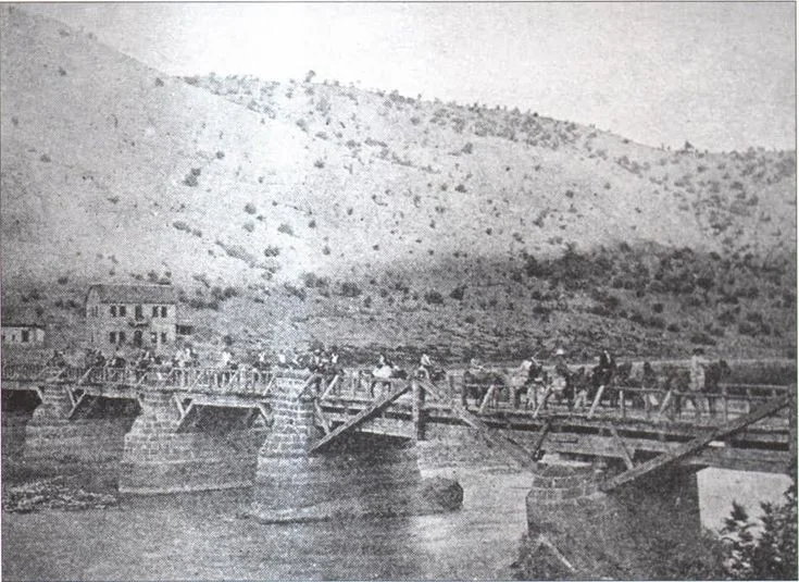 75c94c40dc46398cb5c547cc4910db2c