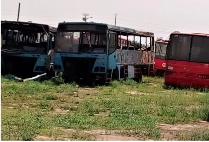 80582753_2739302166165549_9058215417448759296_n