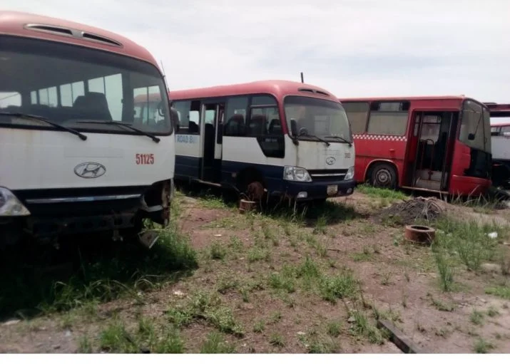 81183443_2739301902832242_4388932388638425088_n