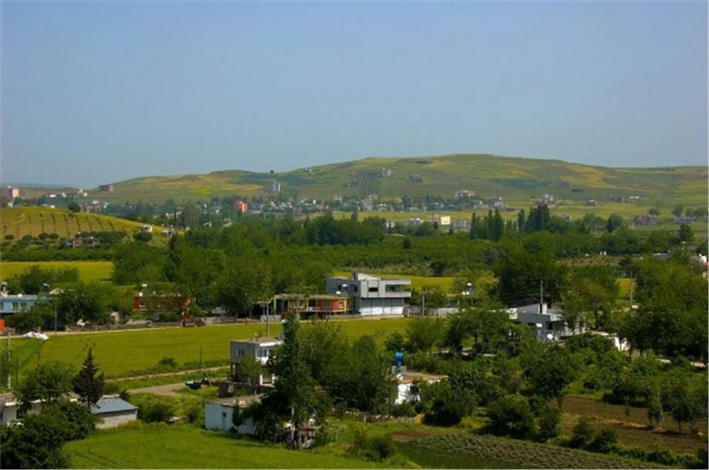 8c21b542-4dc5-4ee7-a6d7-2b5a4eb45afe