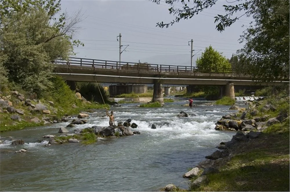 946b17b6-bd52-4346-9778-f8338454874f