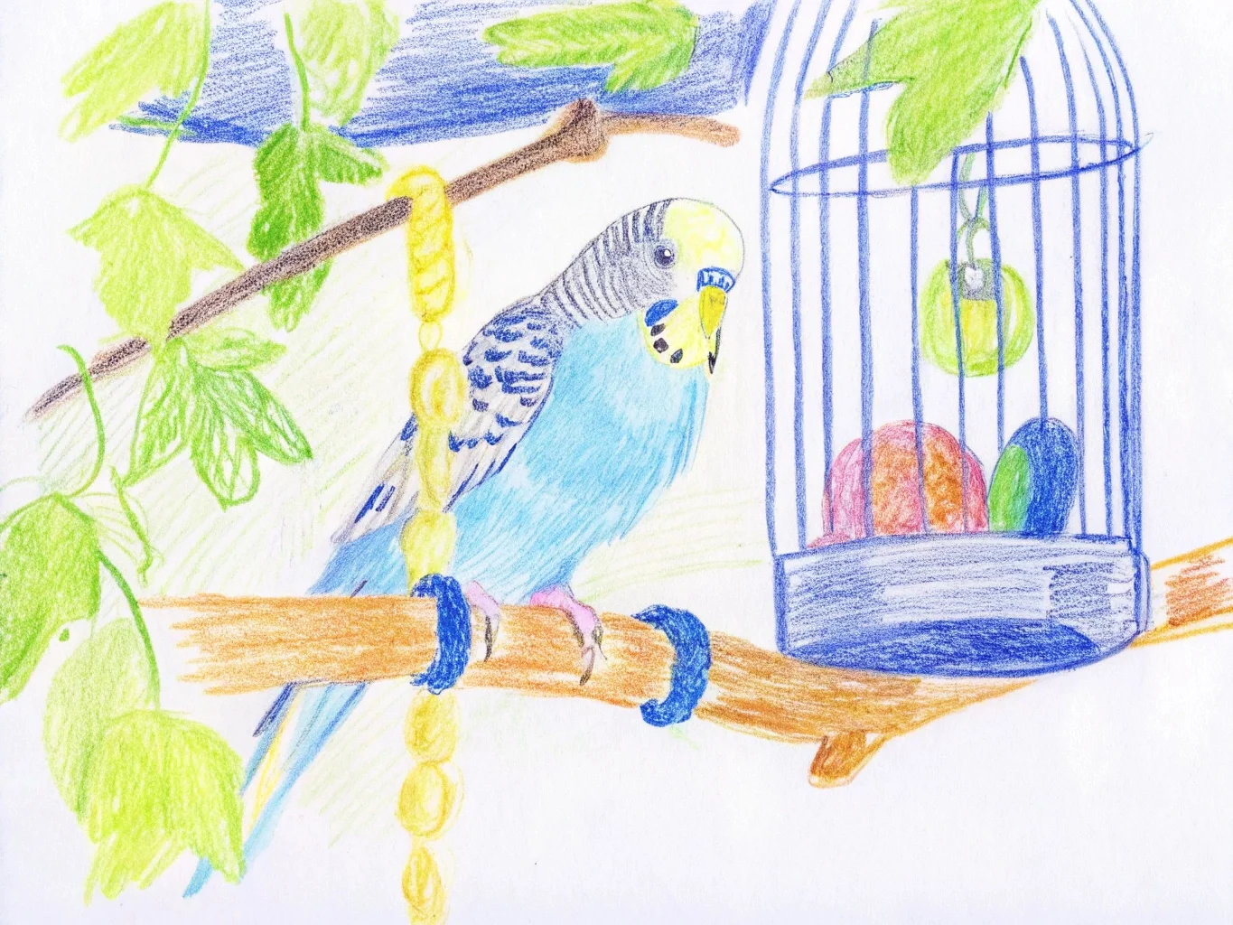 Kuş Çizim ve Tasvir Sanatı (Bird Sketching)Teknikler, İpuçları ve Eserleriniz