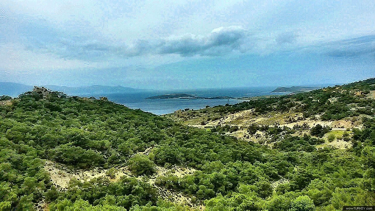 a0375d63-2d36-429f-9a31-8270e966f1d5-1_all_1067