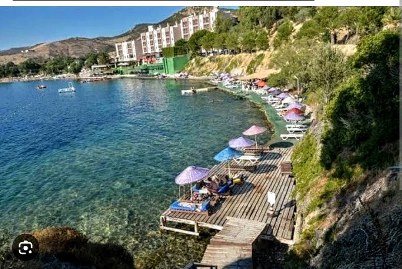 a0375d63-2d36-429f-9a31-8270e966f1d5-1_all_4203