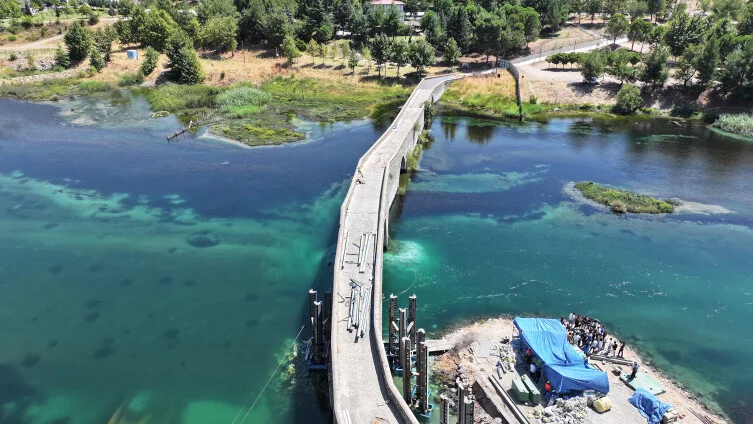 aa_picture_20240815_35409352