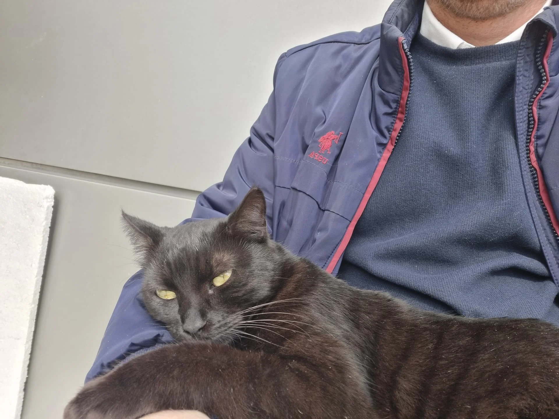 abca5f73-9d34-465e-9a6f-81e4293eb050-1_all_3214