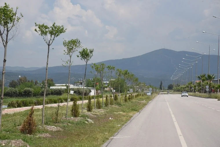 ağaçlandırma-çalışması-11_760x507