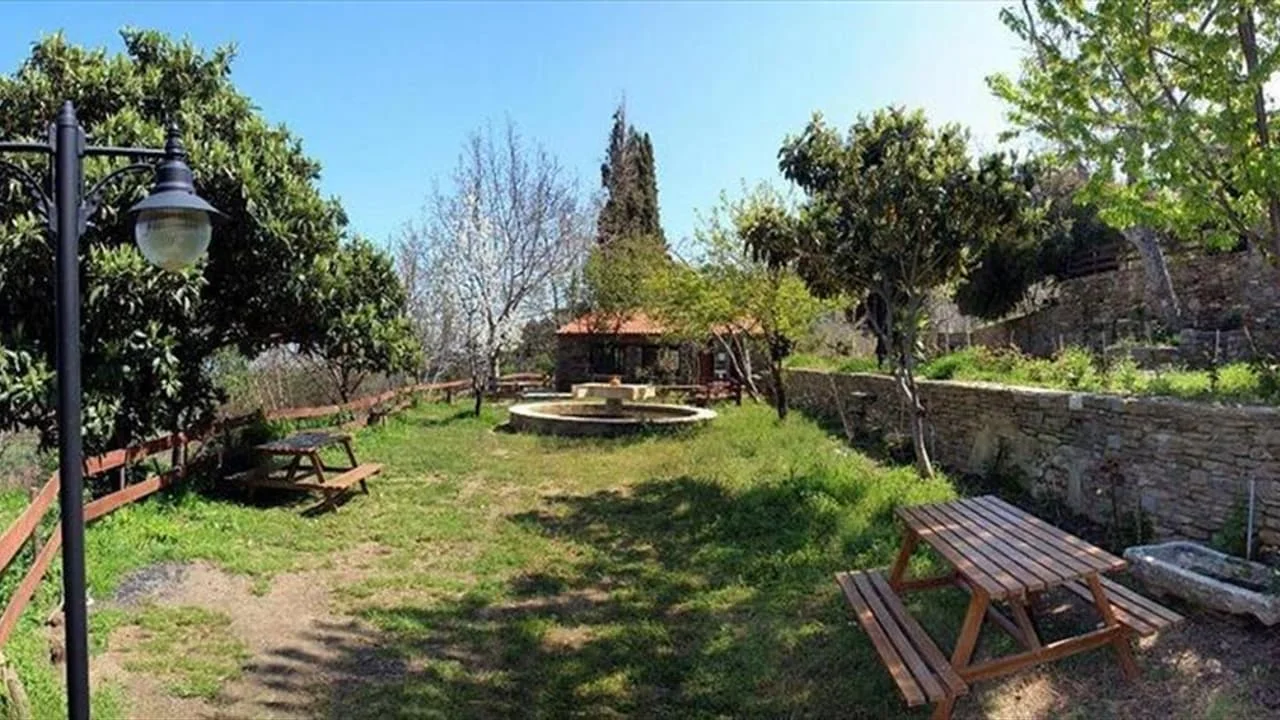 arappinari-mesire-alani5