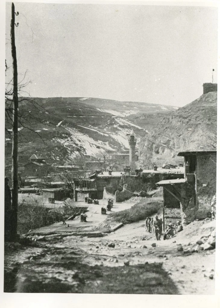 Bild_003-730x1024 (1)