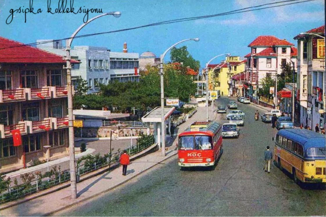 Bursa çekirge