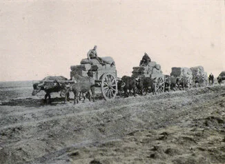 csm_Childs_4097-retocadaweb_54f437fed0