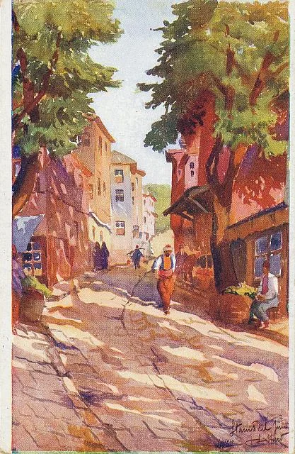 D15192 Une rue a Stamboul