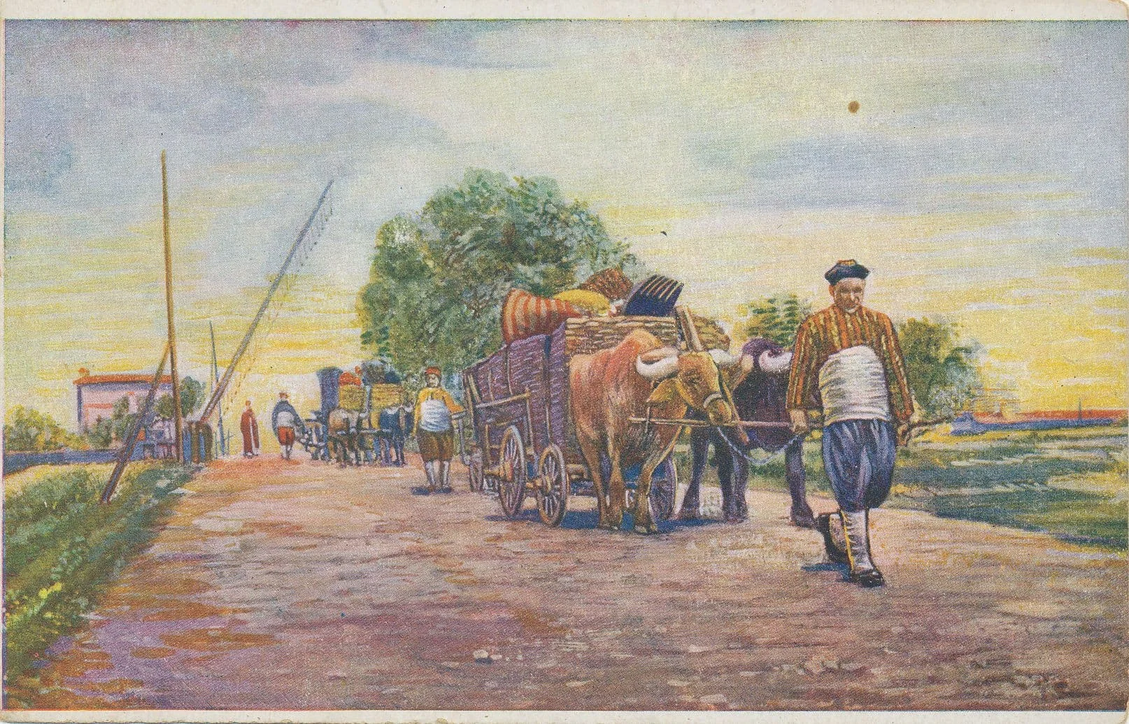 D15227 - Charette de Paysan en Anatolie