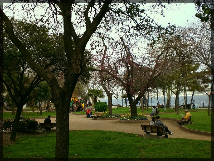 d1lguj5-303fba6c-1561-46c6-ac81-948312e2b0f4