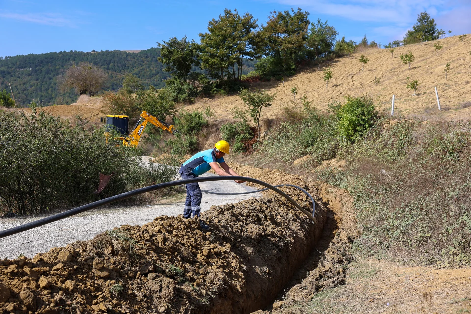 d83667f7-4a7c-45a5-b36c-19eeea3bdeaa