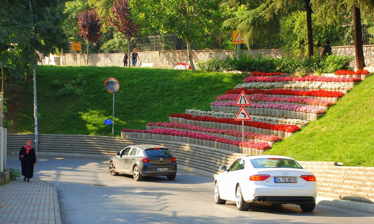 DSC_0216 [1280x768].jpg