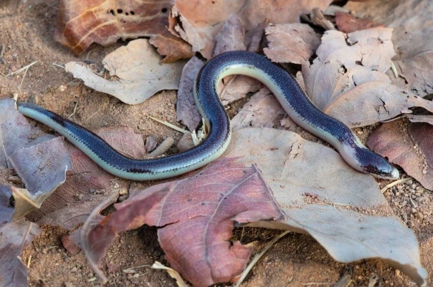 Ei5aADdALU-4ojuQpn3Kxw