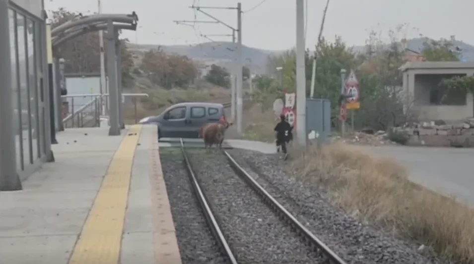 Ekran görüntüsü 2025-03-09 204421.png