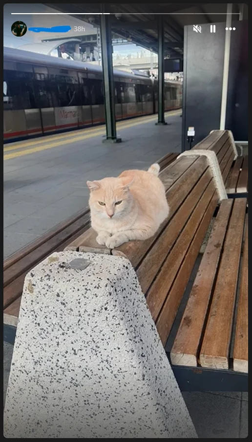 Ekran görüntüsü 2025-07-27 203216.png