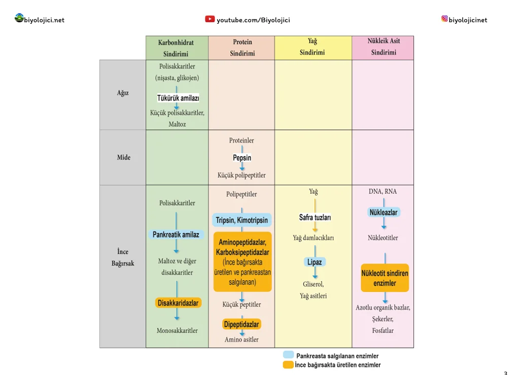Ekran görüntüsü 2025-12-14 234954.webp