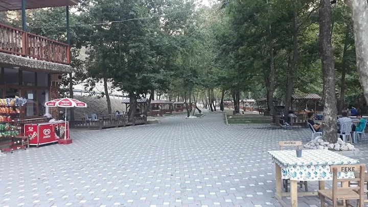 Farsaklar piknik alanı ve çocuk parkı (1)