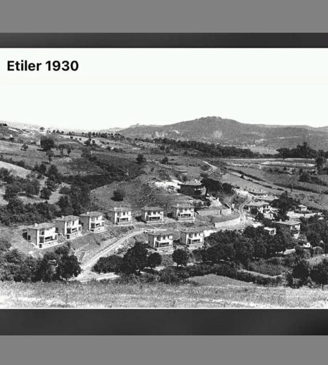 FB_IMG_1704959675363