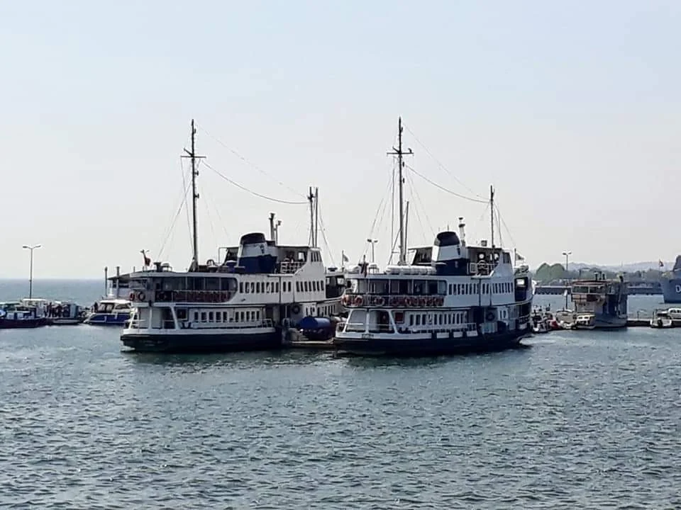 FB_IMG_1705039625922