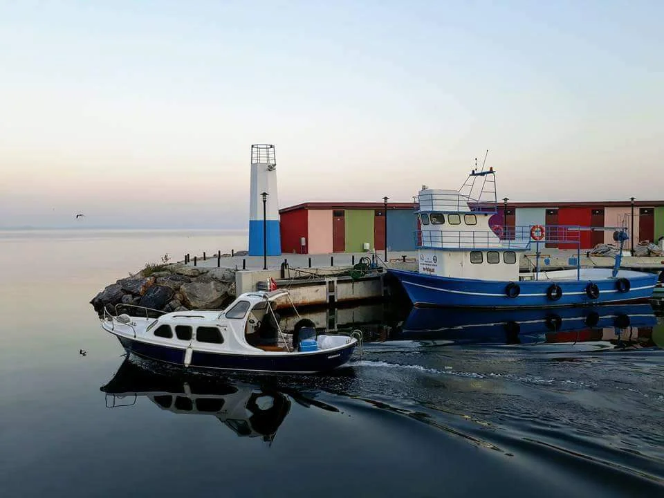 FB_IMG_1707795000564