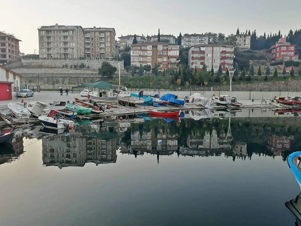 FB_IMG_1707795031963