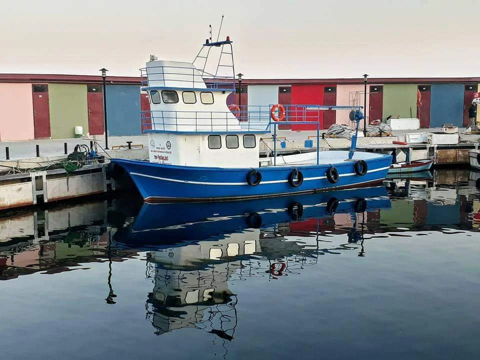 FB_IMG_1707795053552