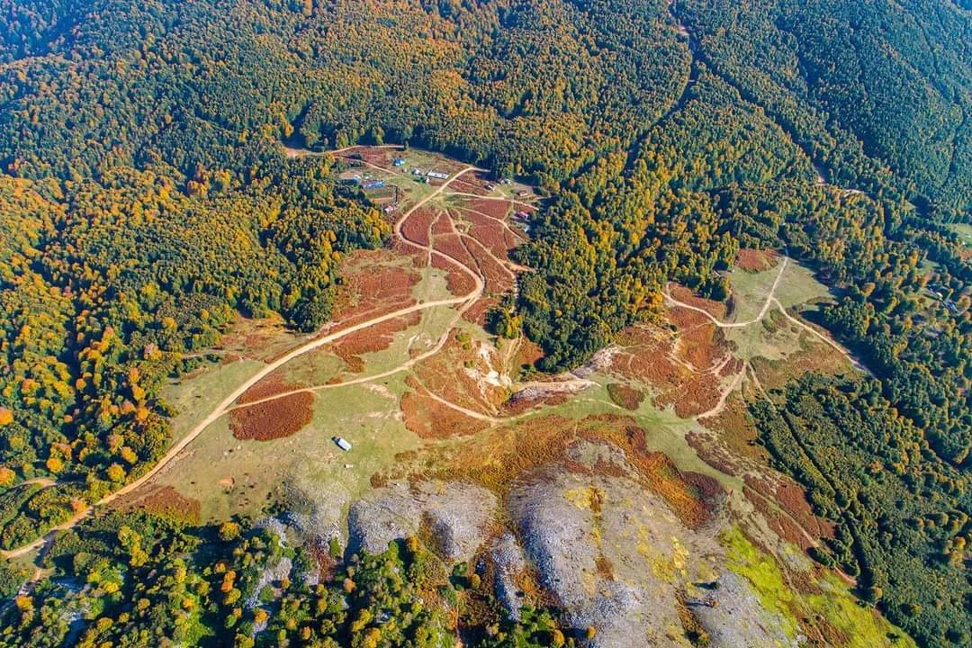 FB_IMG_1708263976563