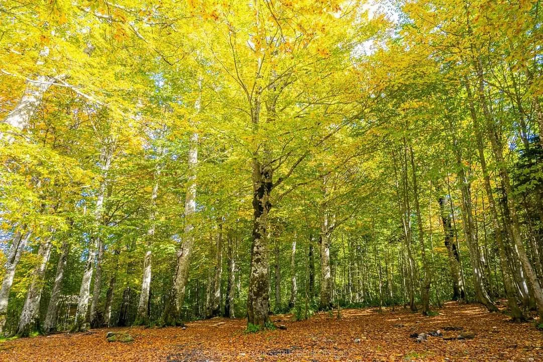 FB_IMG_1708263983292