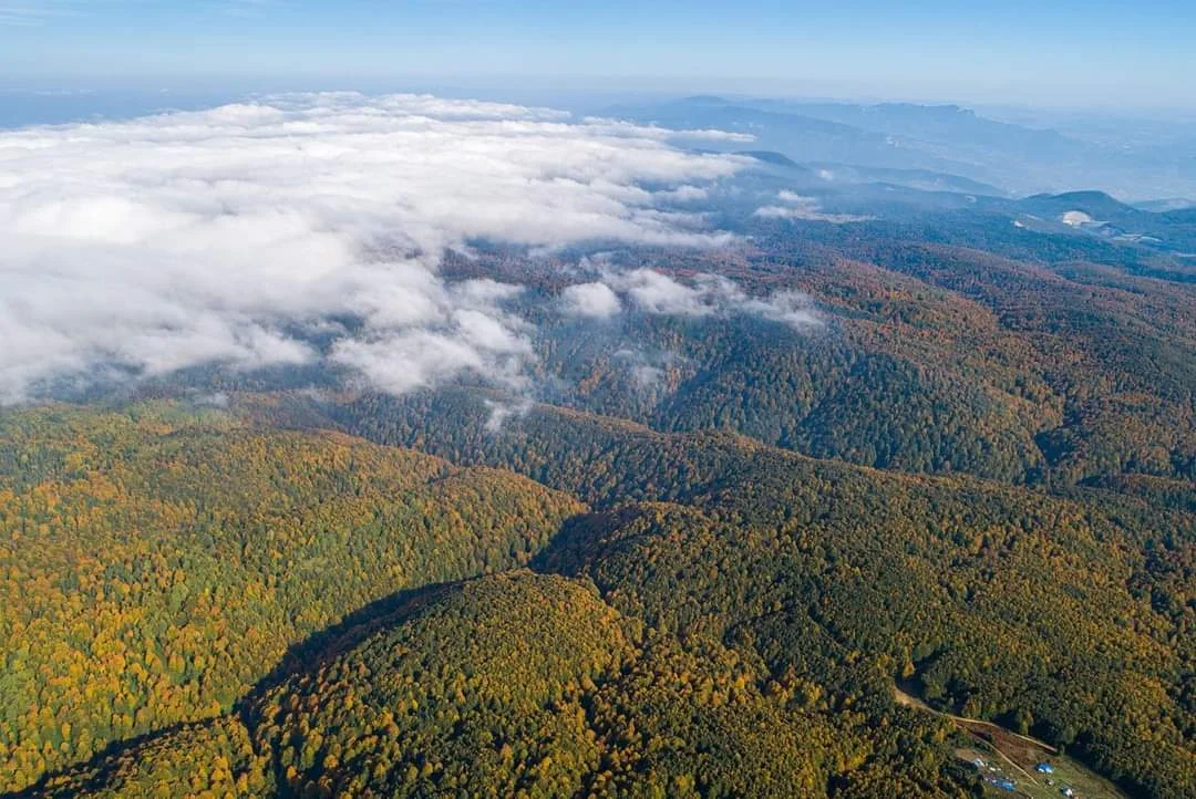 FB_IMG_1708263985734