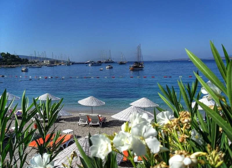 FB_IMG_1709840487174