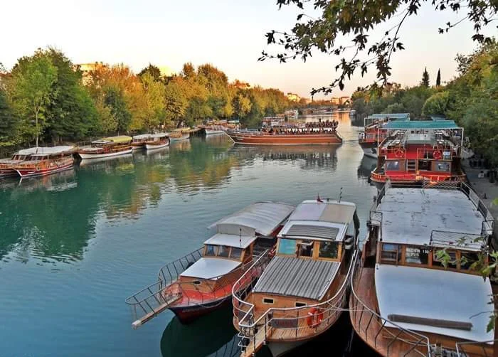 FB_IMG_1709849990835