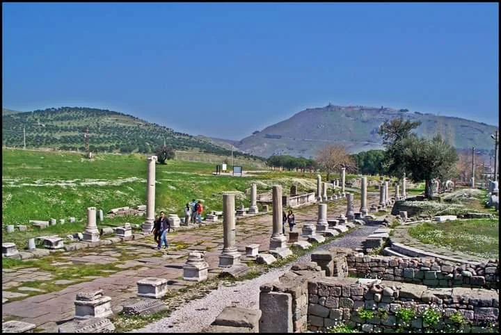 FB_IMG_1709850971365